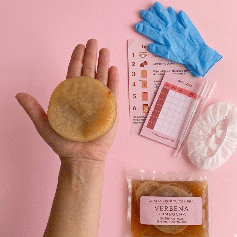 Scoby BOX